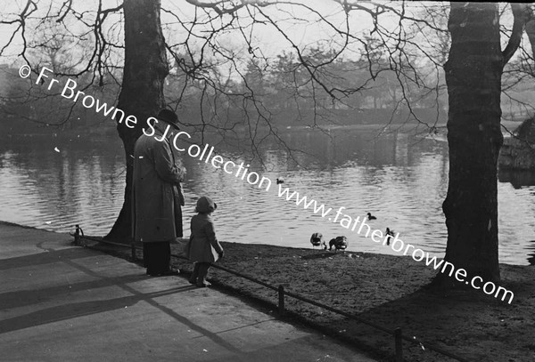 ST STEPHEN'S GREEN FEEDING DUCKS